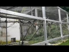 Durable Architectural Stainless Steel Cable Mesh Netting Buckle Weave Type