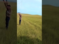 Hot Dip Galvanized Cattle Fence Panel 8 Ft Height Fixed Knot Deer Wire Mesh Fence