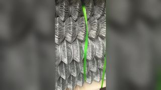 Durable Chain Link Fence Solutions for Garden and Security