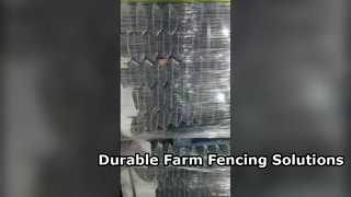 Durable 10 Gauge Galvanized Chain Link Fence Solutions