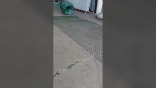 Durable Galvanized Steel Chain Link Fence for Security