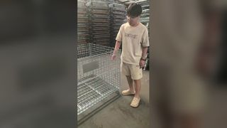 Heavy Duty Foldable Wire Mesh Storage Cage for Warehouses