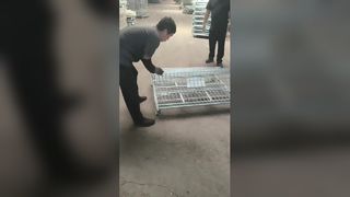 Heavy Duty Foldable Wire Mesh Storage Cages for Warehouses