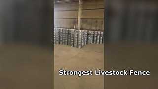 Strong Livestock Fence For Cattle Horses