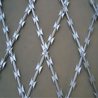 Hot Dipped Galvanized CBT-65 Razor Barbed Wire with 500mm Outer Diameter for High Security